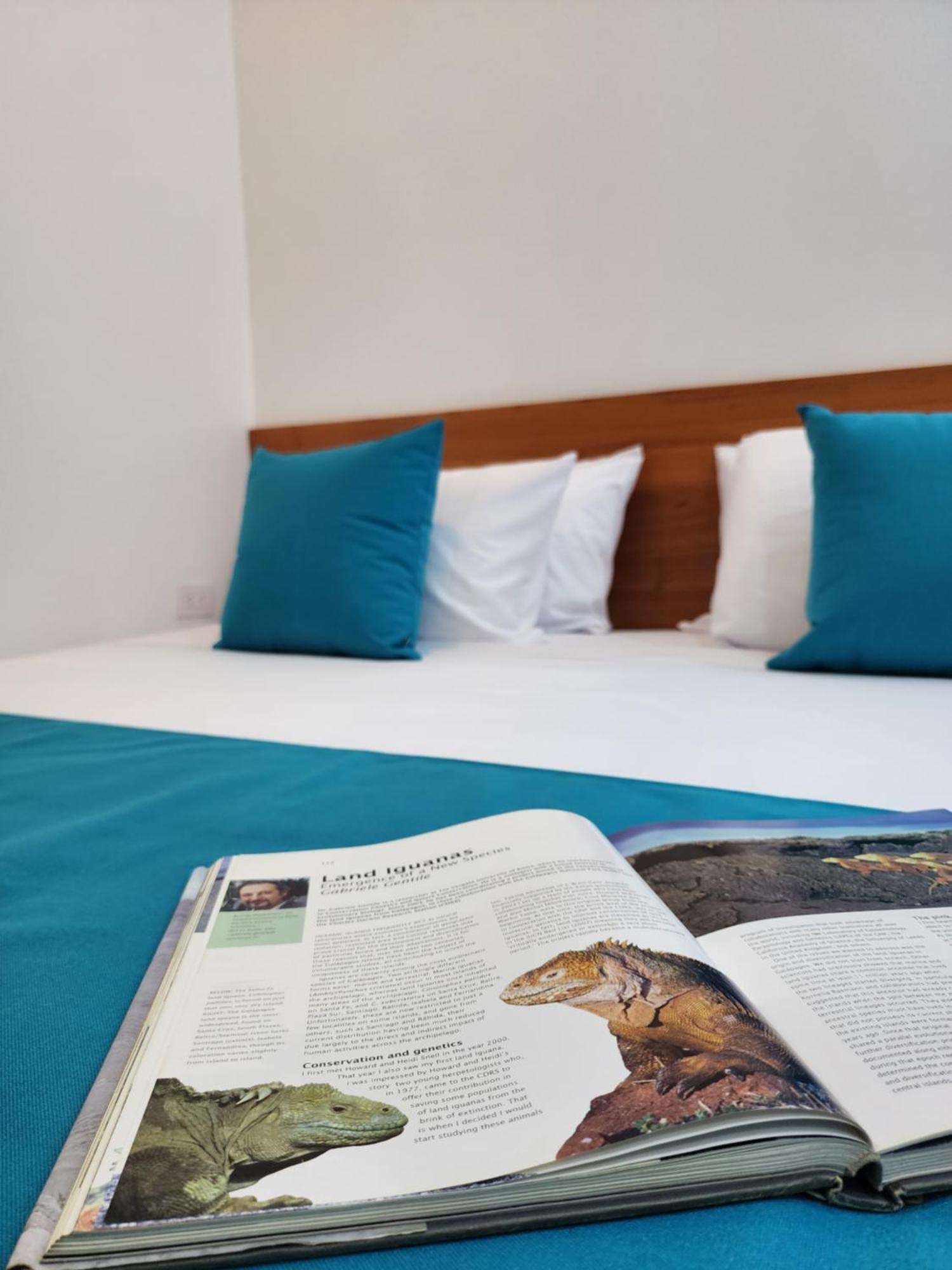 Casa Galapagos By Hostal Fragata Puerto Ayora  Dış mekan fotoğraf